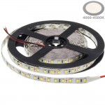 120SMD/m 9,6W/m 12V LED Streifen 3528 Neutralweiß 1m
