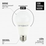 12W LED E27 A60 Birne Kunststoff Professional Kaltweiß 12W LED E27 A60 Birne Kunststoff Professional Kaltweiß