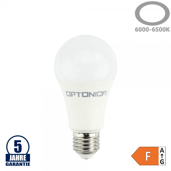 12W LED E27 A60 Birne Kunststoff Professional Kaltweiß 12W LED E27 A60 Birne Kunststoff Professional Kaltweiß