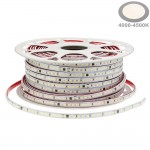 120SMD/m 9W 230V LED Streifen 2835 Wassergeschützt Neutralweiß 1m 120SMD/m 9W 230V LED Streifen 2835 Wassergeschützt Neutralweiß 1m