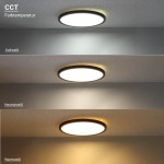 18W Deckenleuchte Schwarz RGB+CCT 18W Deckenleuchte Schwarz RGB+CCT