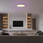 24W Deckenleuchte Schwarz RGB+CCT 24W Deckenleuchte Schwarz RGB+CCT