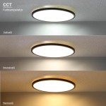 24W Deckenleuchte Schwarz RGB+CCT 24W Deckenleuchte Schwarz RGB+CCT
