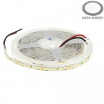 182LED/m 14W/m 24V LED Streifen 2835 HL Kaltweiß 1m 182LED/m 14W/m 24V LED Streifen 2835 HL Kaltweiß 1m