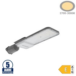 100W LED Straßenleuchte Professional HL Warmweiß IP65