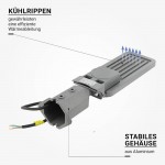 30W LED Straßenleuchte Professional HL Warmweiß IP65