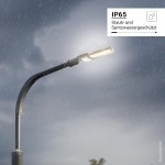 50W LED Straßenleuchte Professional HL Neutralweiß IP65 50W LED Straßenleuchte Professional HL Neutralweiß IP65