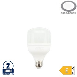 24W LED E27 T80 Birne Kaltweiß