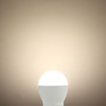 10W LED E27 G46 Birne Kunststoff Neutralweiß