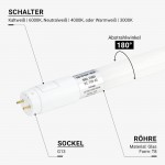 9W LED T8 Röhre 60cm Glas CCT 9W LED T8 Röhre 60cm Glas CCT
