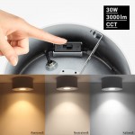30W LED Deckenstrahler schwenkbar Weiß CRI90+ CCT 30W LED Deckenstrahler schwenkbar Weiß CRI90+ CCT