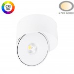 30W LED Deckenstrahler schwenkbar Weiß CRI90+ CCT 30W LED Deckenstrahler schwenkbar Weiß CRI90+ CCT