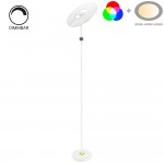 48W Stehleuchte Weiß RGB+CCT fernsteuerbar 48W Stehleuchte Weiß RGB+CCT fernsteuerbar