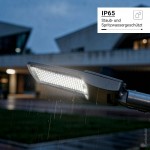 100W Straßenleuchte Kaltweiß mit Vorrichtung für NEMA-Sensor 100W Straßenleuchte Kaltweiß mit Vorrichtung für NEMA-Sensor